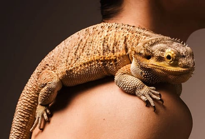 The Dangers of Tanning