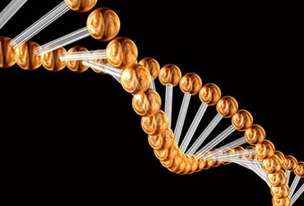 Gene Therapy