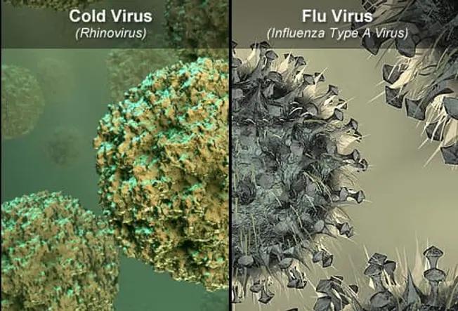 Cold vs. the Flu: Does It Matter?