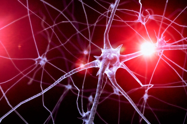 Neurological Conditions