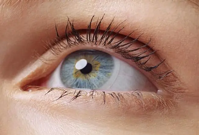 How Long Can I Wear My Lenses?