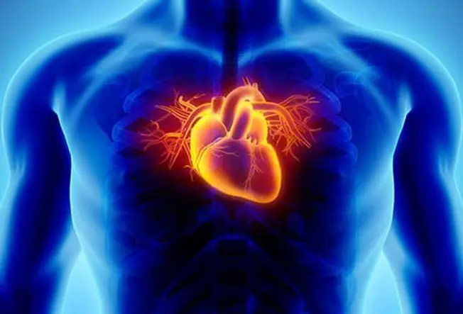 What Is Heart Disease?