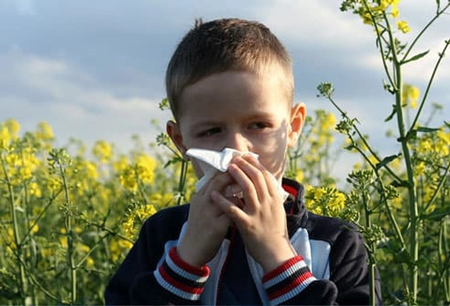 Allergies and Ear Infections