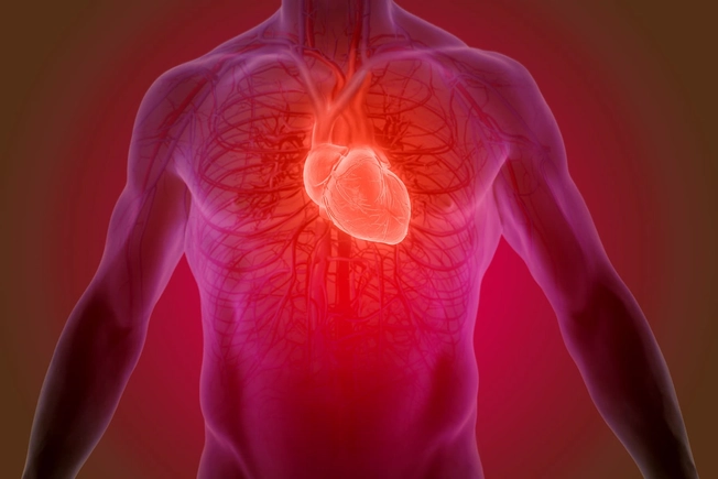 1 year: Heart Health 1 year: Heart Health