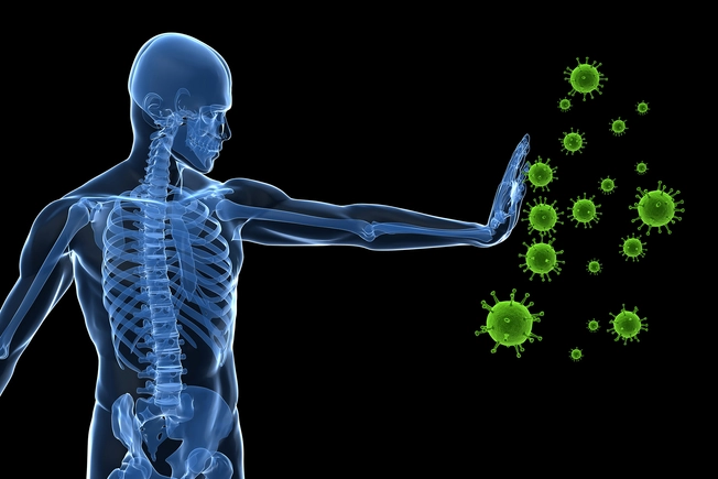 Help for Your Immune System