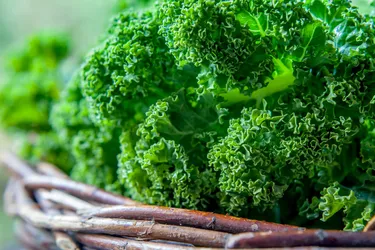 Kale is a good source of folic acid and calcium. (Photo credit: iStock / Getty Images)