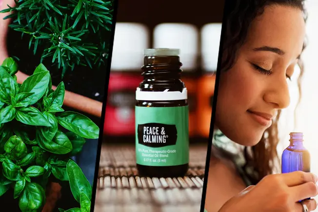 What Are Plant Oils?