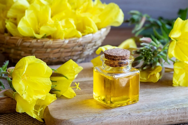 Evening Primrose