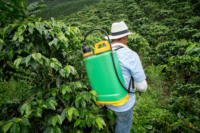 WebMD * The Best Coffee You Can Drink * 1800ss_getty_rf_worker_spraying_pesticides