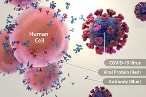 photo of Immune response to covid-19 vaccine