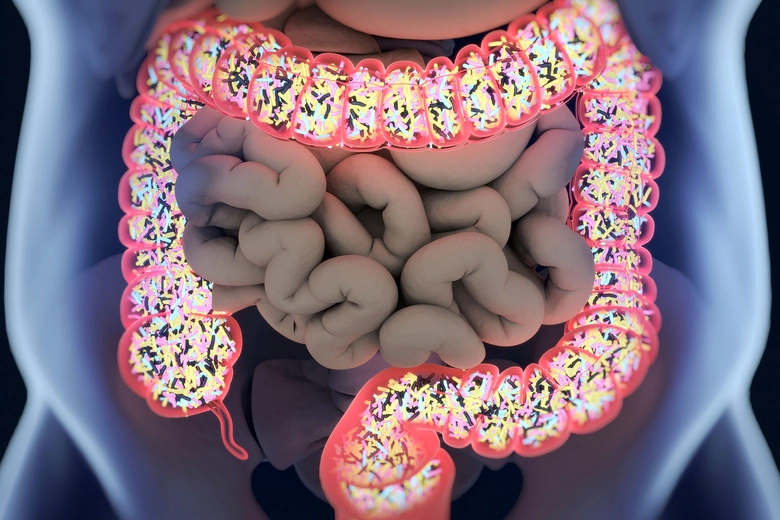 how to improve gut health and bloating