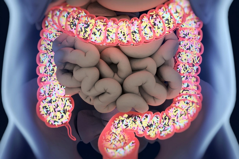 Balanced diet promotes a thriving gut microbiome.