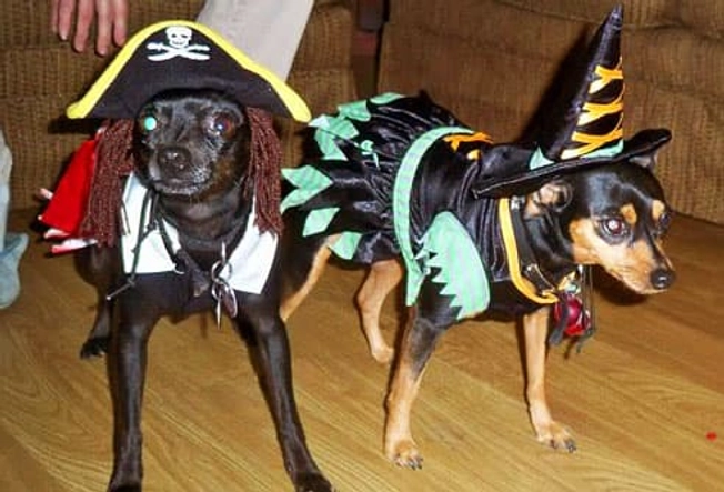 Prissy the Pirate, Daisy the Witch