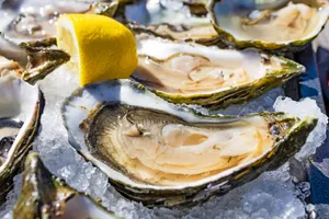 Oysters are a rich source of zinc.