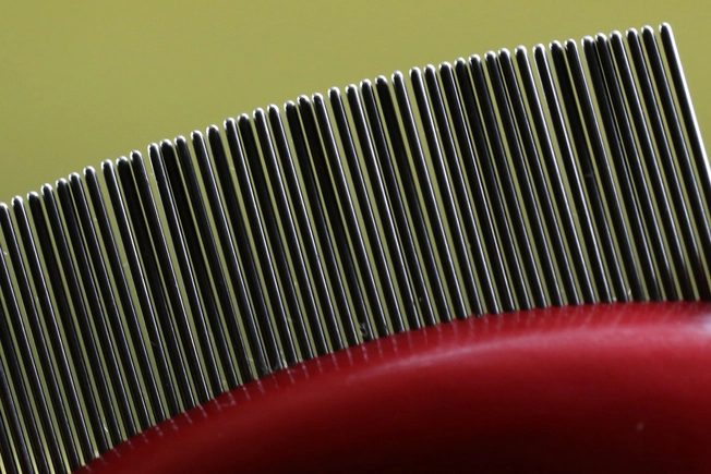 Use Fine-Toothed Combs