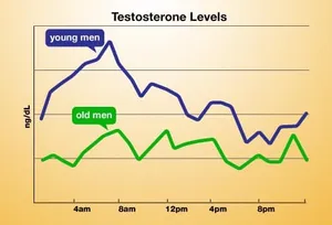 chart of testosterone levels