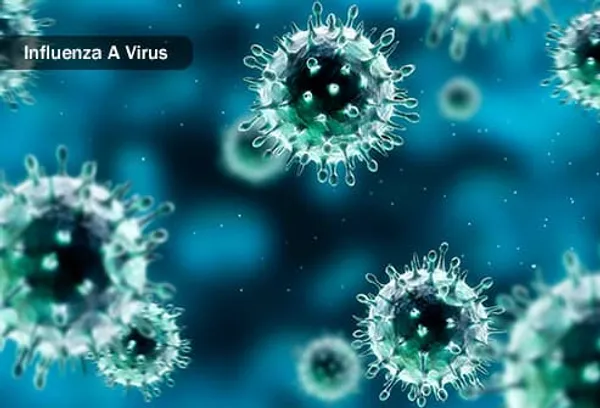 grip bir virüs