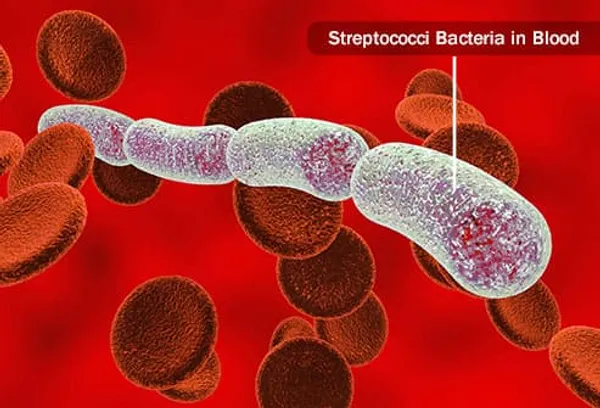 kandaki streptokok bakterileri