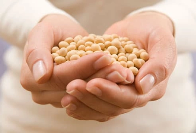 Soy for Skin Care