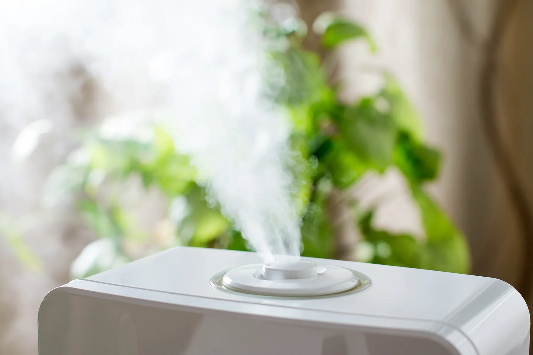 Humidifiers How to Use A Humidifier and Keep Them Clean