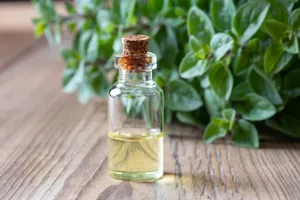 Oregano is an excellent source of Vitamin K and contains antioxidants, which help stop free radicals from causing damage to your cells.