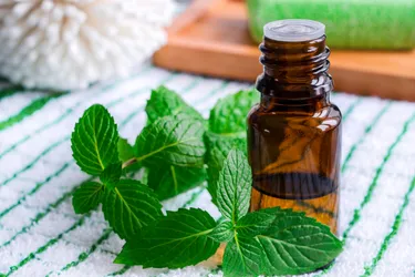 Peppermint oil is commonly used as flavoring in foods and beverages and as a fragrance in soaps and cosmetics. Peppermint oil also is used for a variety of health conditions and can be taken orally in dietary supplements or topically as a skin cream or ointment. (Photo credit: iStock/Getty Images)