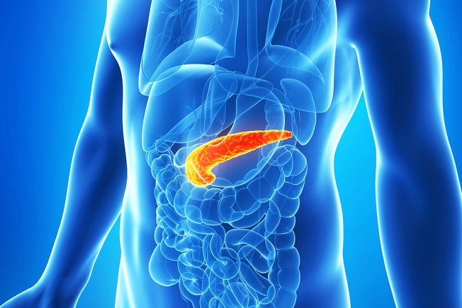 Pancreatic Enzyme Supplements