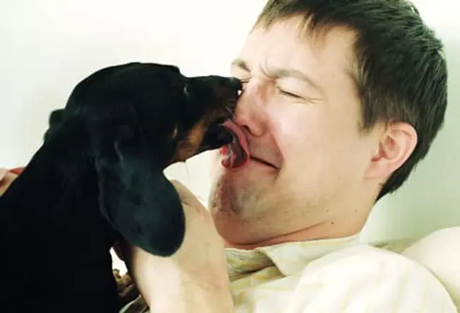 Fact: Dog Kisses Can Make You Sick