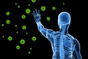 photo of immune system concept