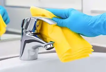 Germy Faucet Handles
