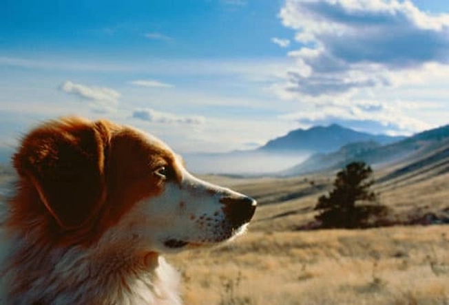 Enjoy the Great Outdoors