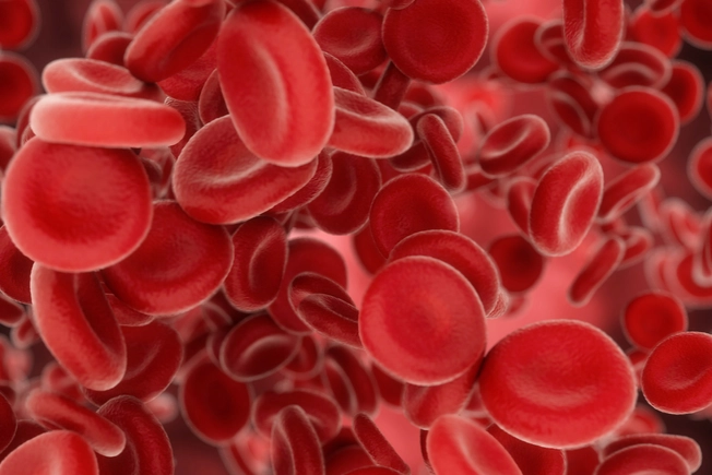 Red Blood Cell Count