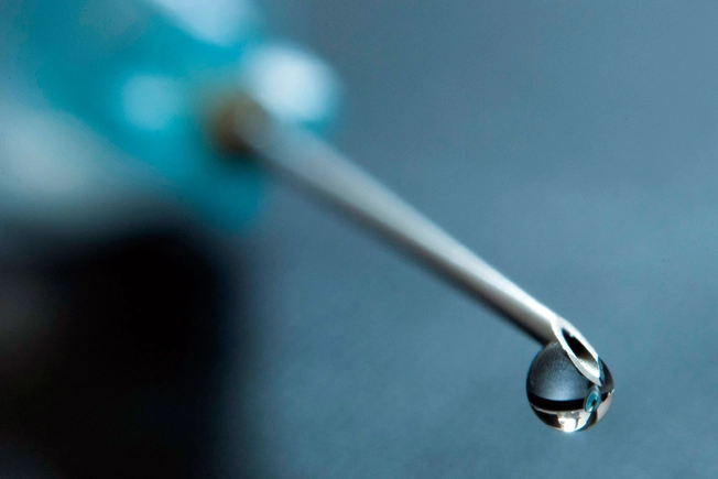 Taming the Immune Response