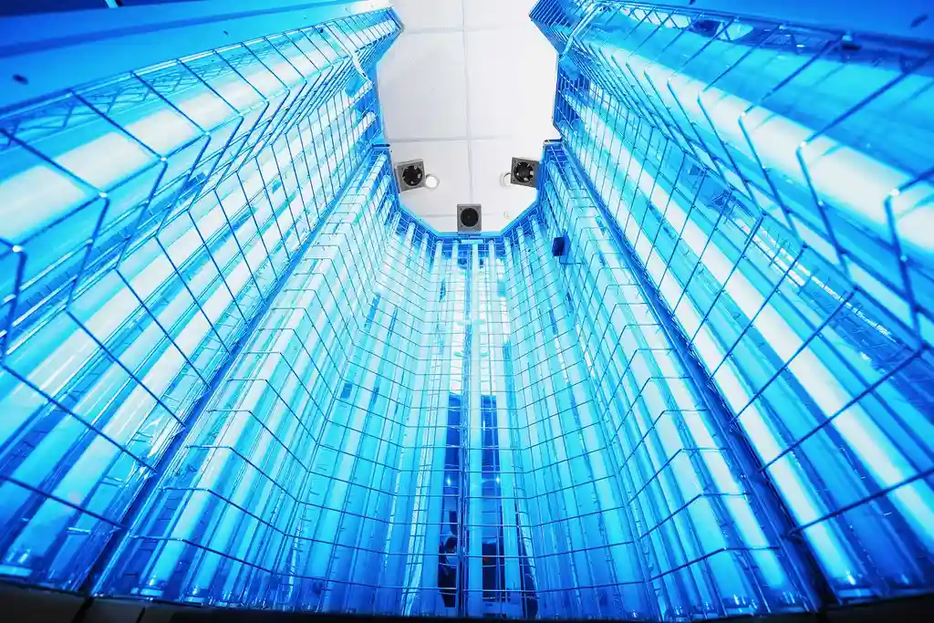 photo of phototherapy lights