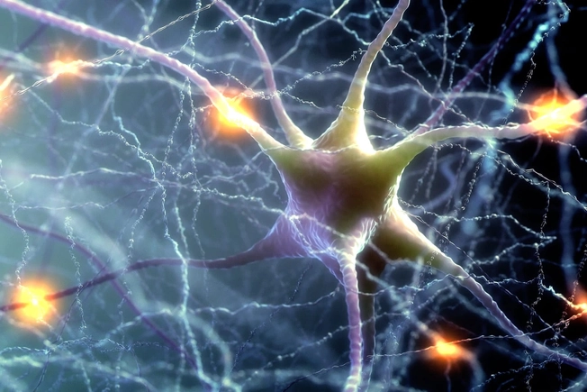 You Keep Your Brain Sharp You Keep Your Brain Sharp
