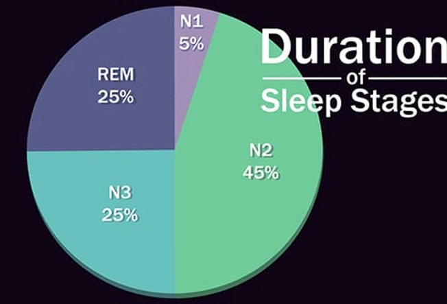 Non-REM Sleep