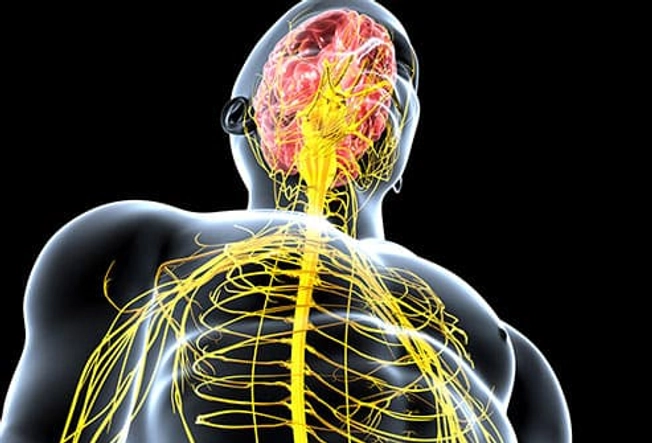 Other Nervous System Disorders