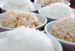 rice & grains