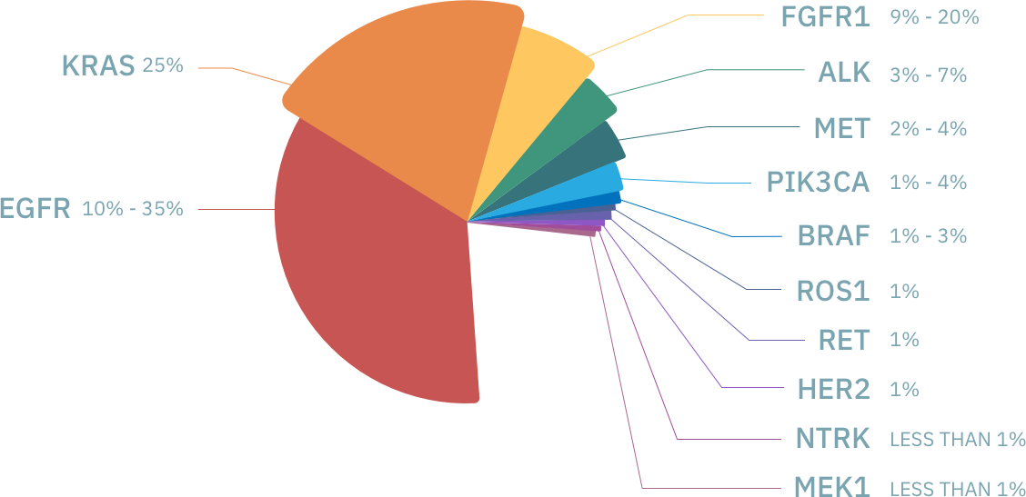 Gene Mutations in NonSmallCell Lung Cancer