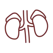 adrenal-gland-icon