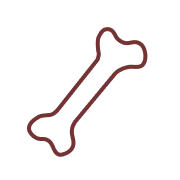 bone icon