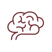 brain icon