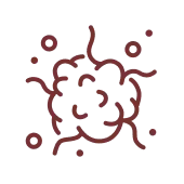 immunohisto icon