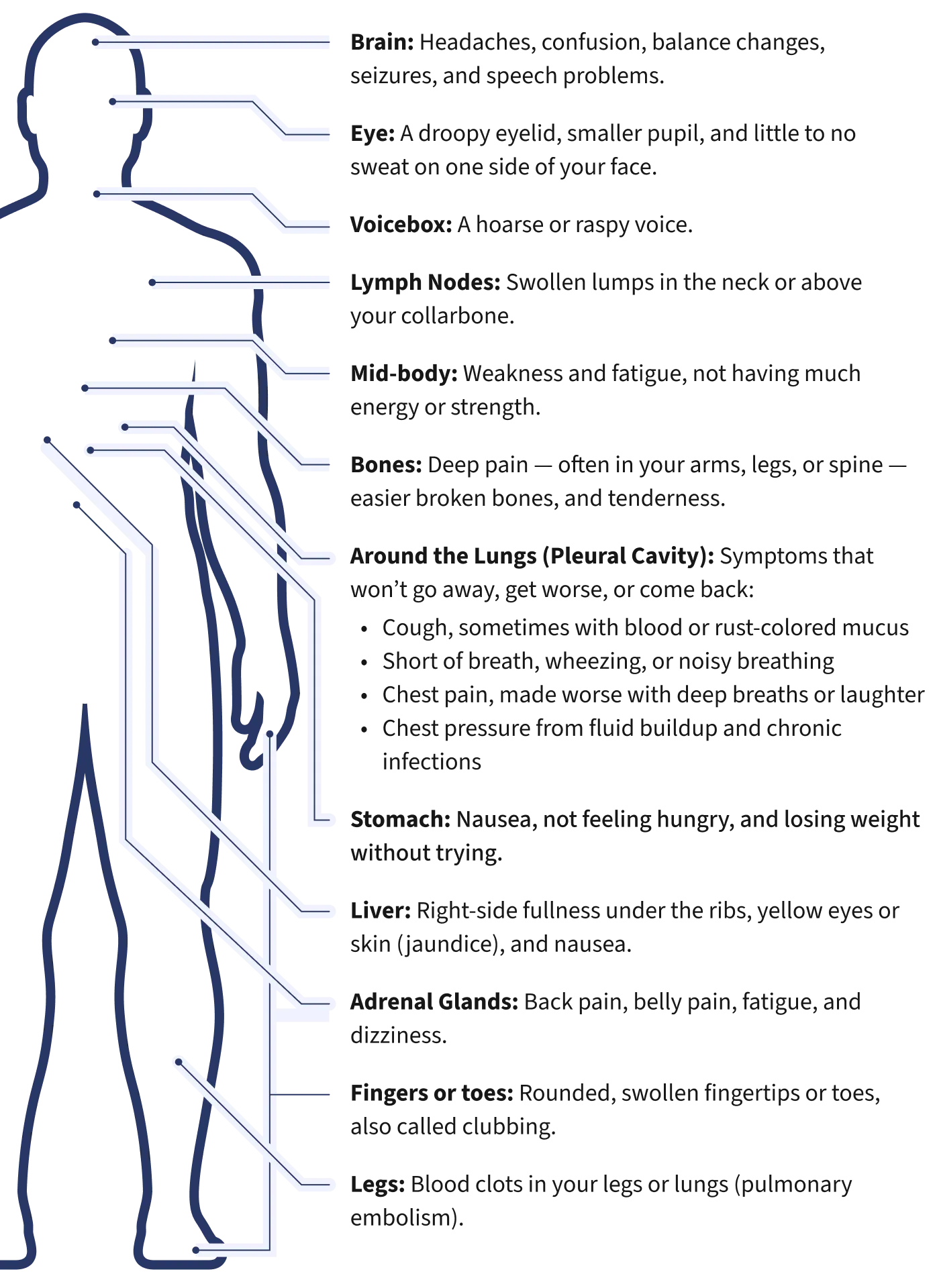 human body infographic