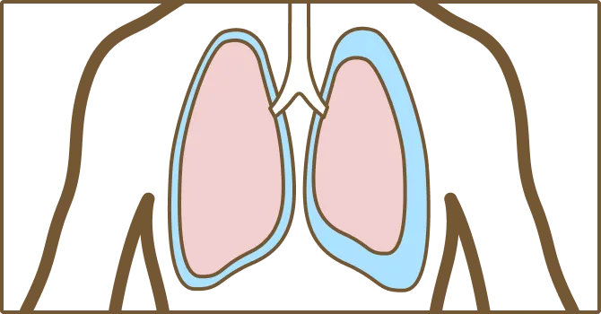 lungs drawing